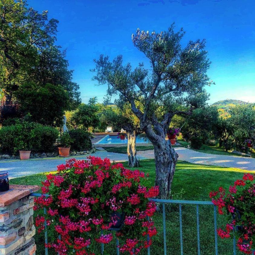 Casale Il Cerqueto Bed & Breakfast San Severino Marche Exterior photo