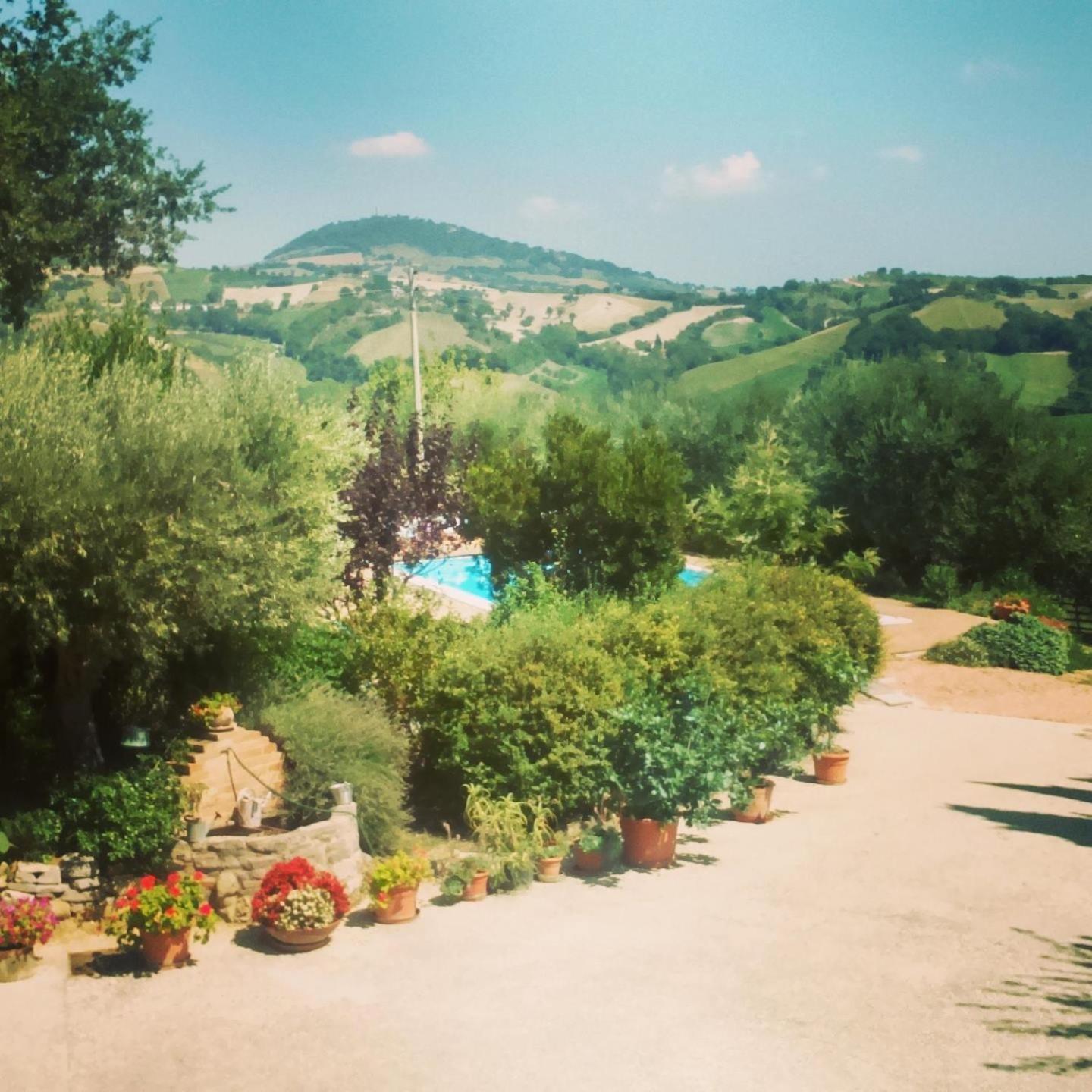 Casale Il Cerqueto Bed & Breakfast San Severino Marche Room photo