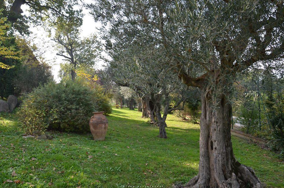 Casale Il Cerqueto Bed & Breakfast San Severino Marche Exterior photo