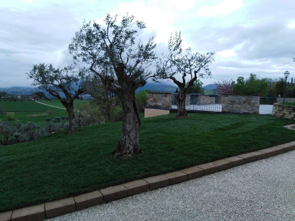 Casale Il Cerqueto Bed & Breakfast San Severino Marche Exterior photo